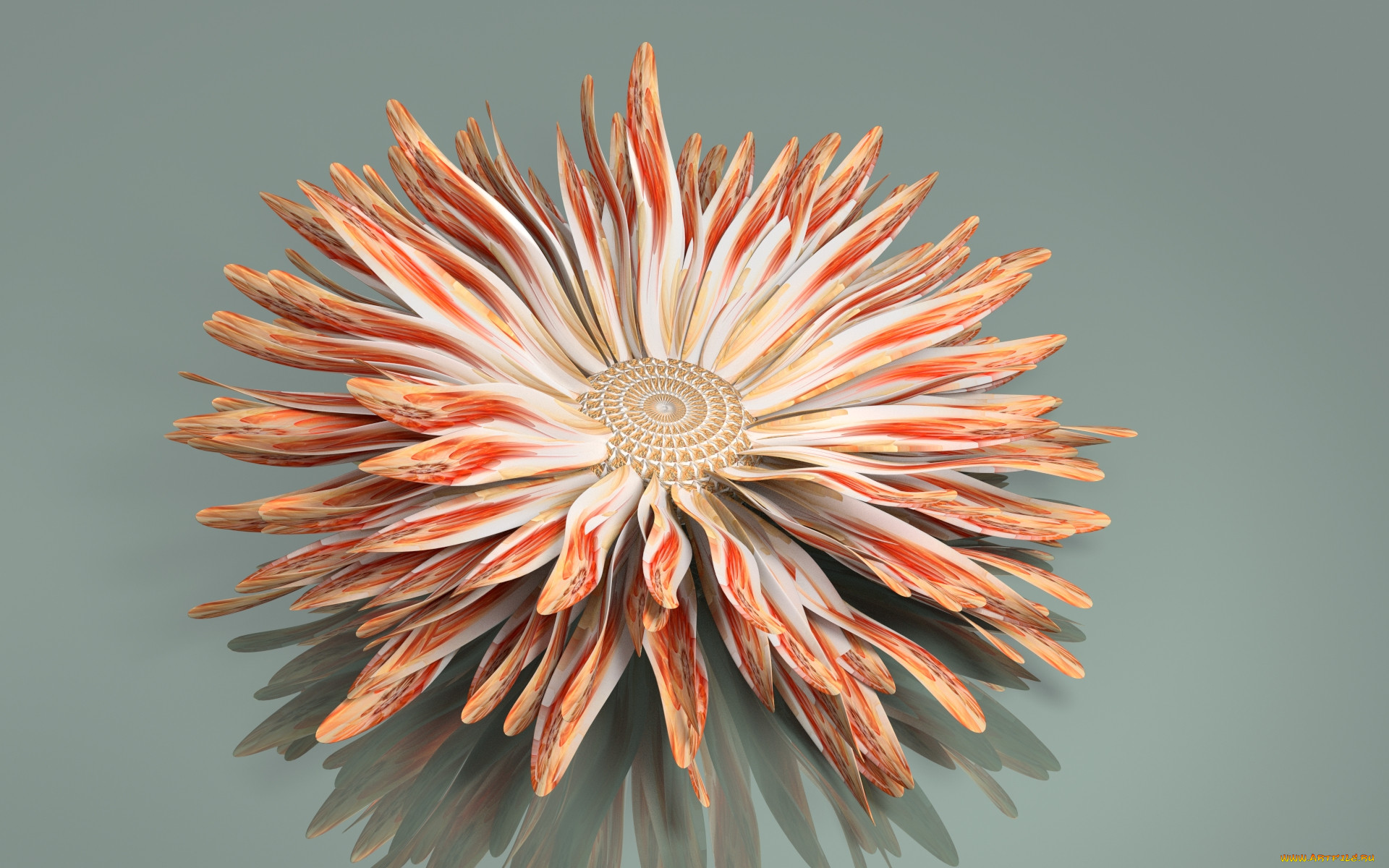 3 ,  , flowers, , 
